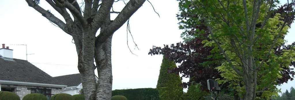 Fortview House