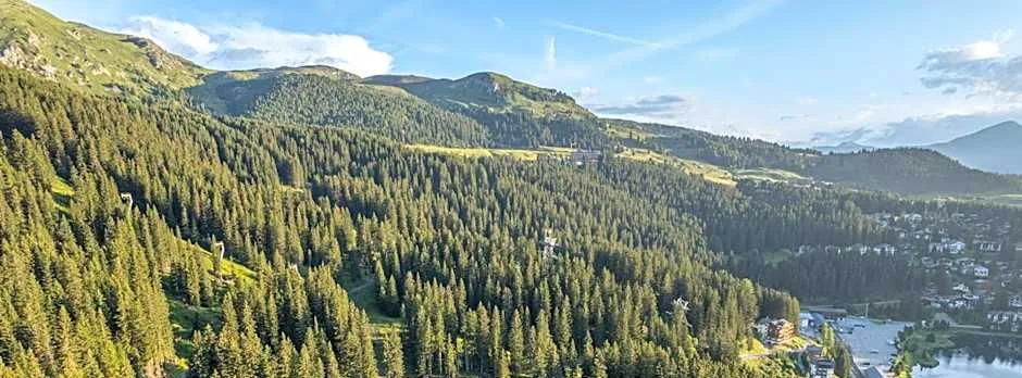 Waldhotel Arosa