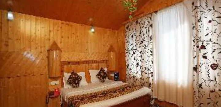 OYO 9084 Hotel Tourist Palace