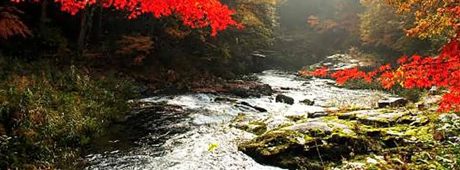 Yasashisanoyado Chikutei