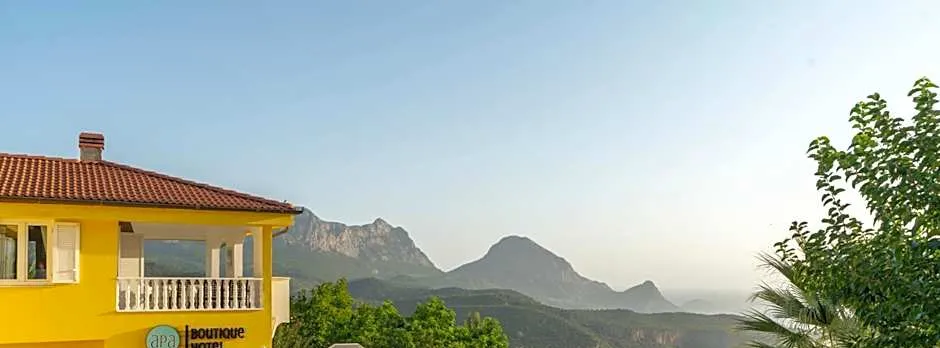 APA Mountain Lodge