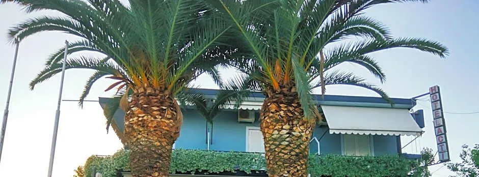 Hotel Akti