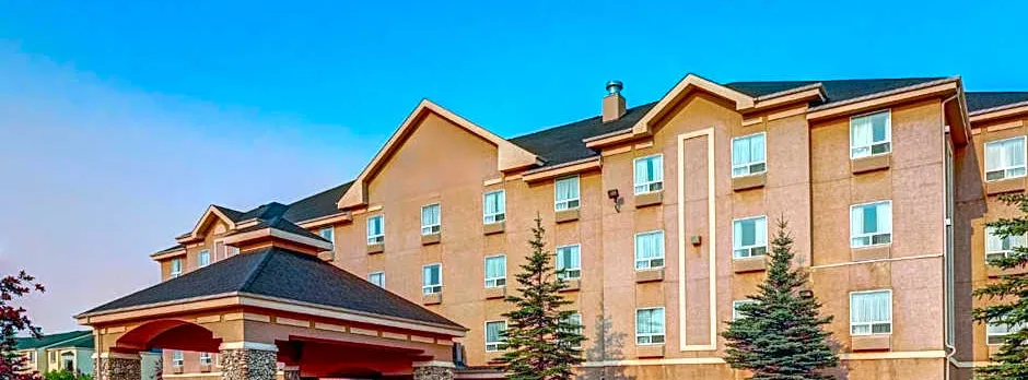 Prairie Crest Red Deer by IHG