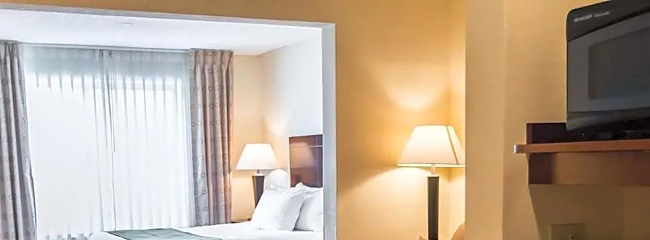 Comfort Suites University Area Notre Dame-South Bend