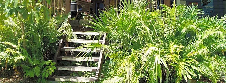 Mango tourist Hostel