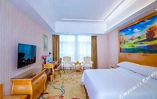 Vienna Hotel (Wuhan Wuhu Gaoche Subway Station)