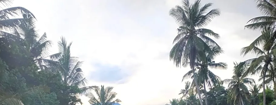 Jasri Dalem Surf Retreat