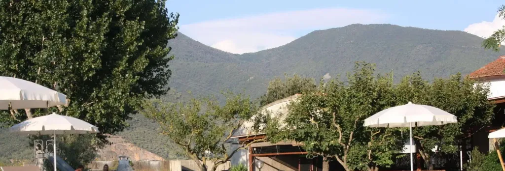 Agriturismo La Pisana