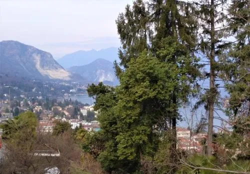 Casa Rosa 51