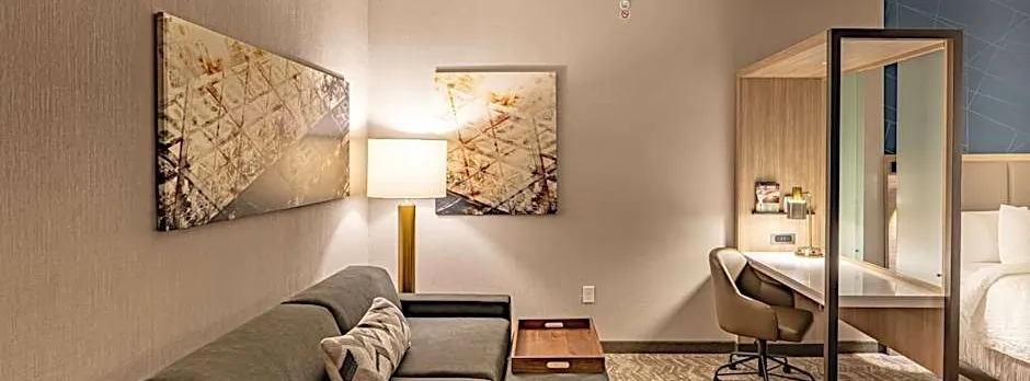 SpringHill Suites by Marriott Dallas McKinney/Allen