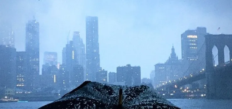 Hgu New York