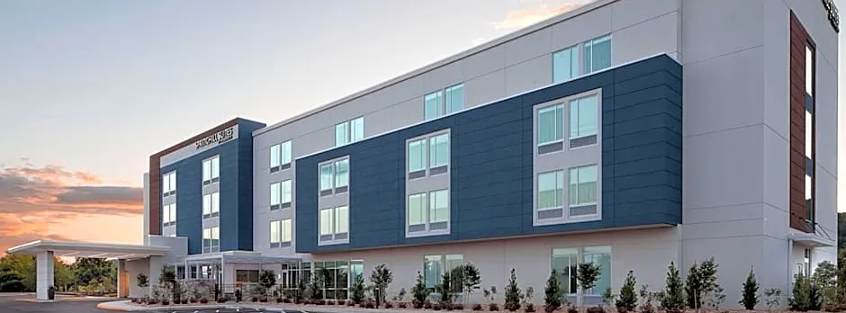 SpringHill Suites by Marriott Roanoke North
