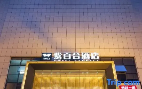 Viola Hotel Express