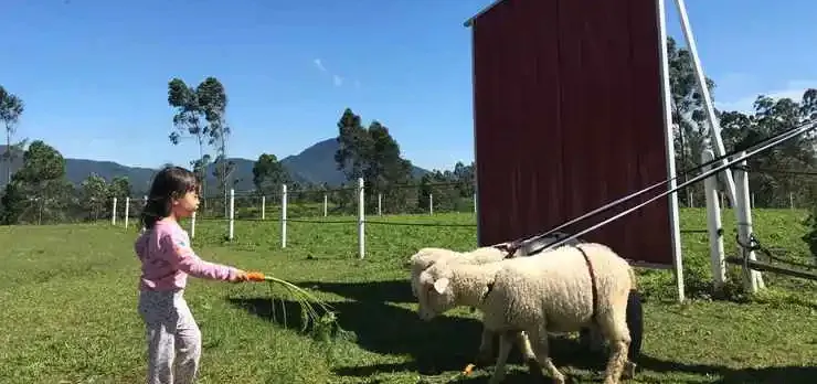 Shinta Corner Ranch and Resort