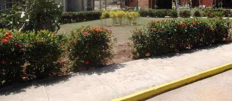 Villa Don Lino