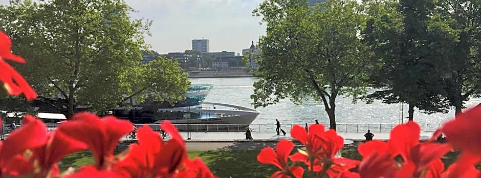 Altstadthotel Hayk am Rhein