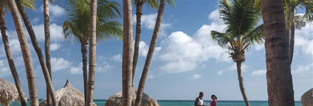 Divi Dutch Village Beach Resort