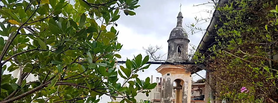 La Terrazza dei Pelargoni BB