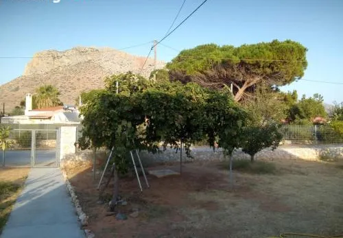 Demi's house