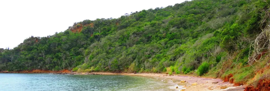 Pousada Casa Cactus Praia da Tartaruga Buzios