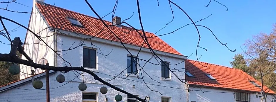 Slaaphuisje Het vliegend varken