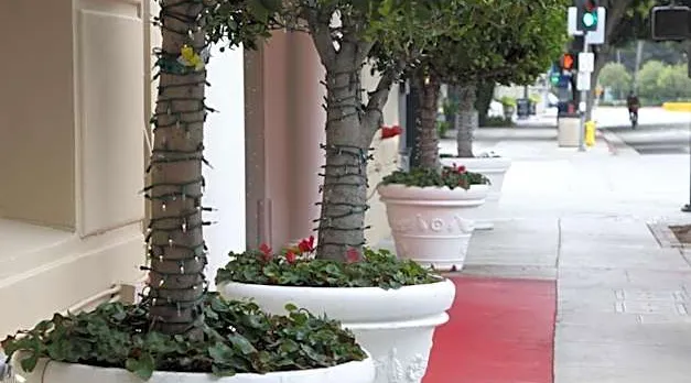 Hotel Carmel