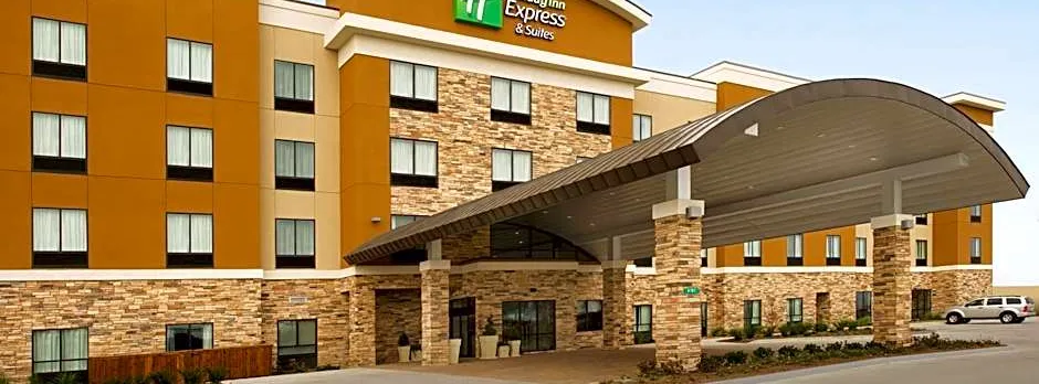 Holiday Inn Express Hotel & Suites Waco South By IHG