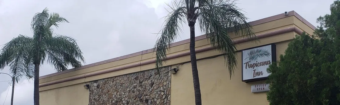 Quality Inn Saint Petersburg North Tampa Bay