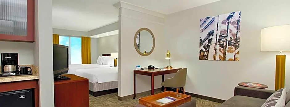 SpringHill Suites by Marriott Chesapeake Greenbrier