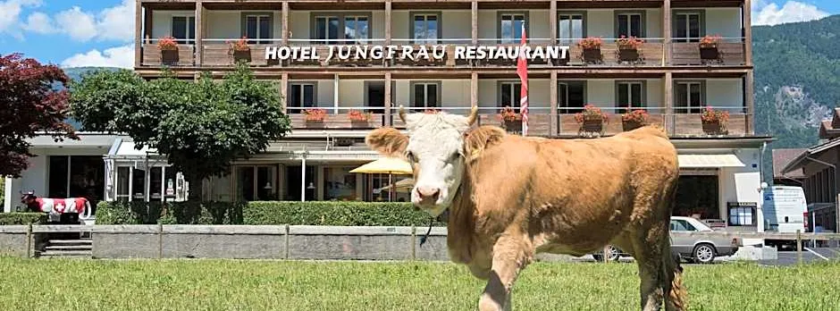 Jungfrau Hotel