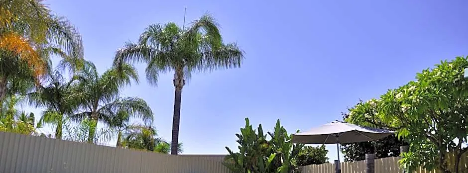 Palms Bed & Breakfast