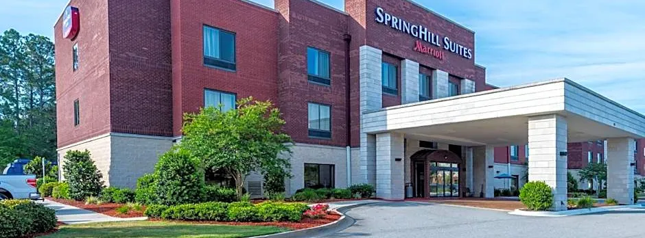 SpringHill Suites by Marriott Statesboro University Area