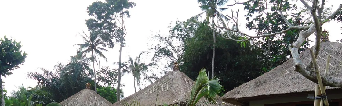 Suka's House Bed & Breakfast