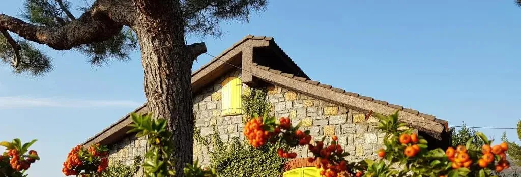 Casa Lavanda