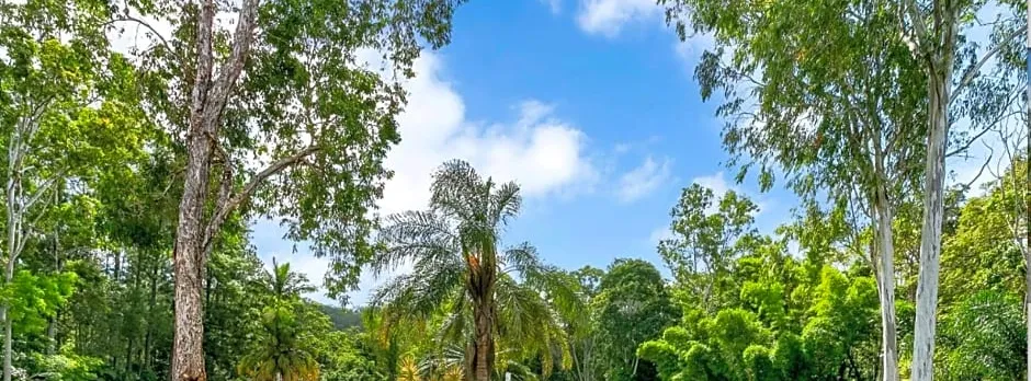 Pademelon Park BnB