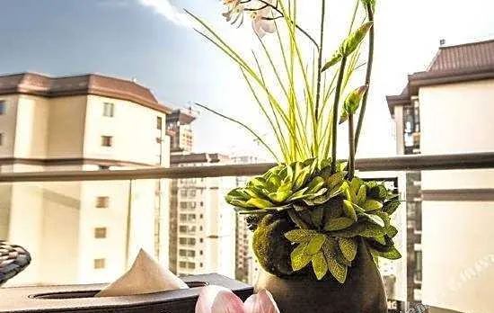 Beautiful Scenery Hotel