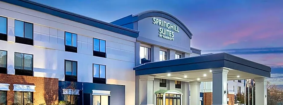 SpringHill Suites by Marriott Alexandria