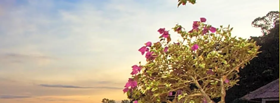 Gayana Marine Resort