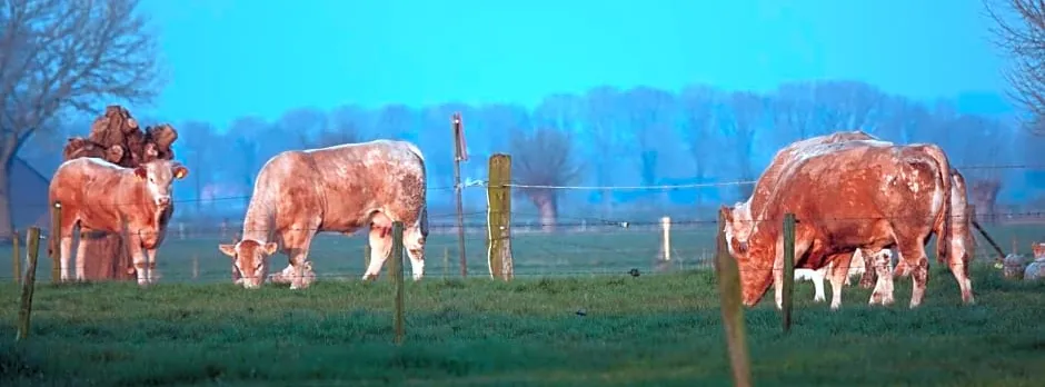 B&B Bij Bronckhorst