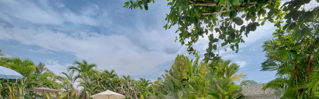 Kutus Kutus Canggu Villa