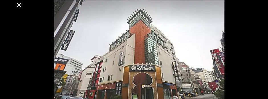Hotel Marigold