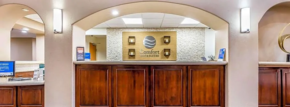 Comfort Inn & Suites Airport-American Way