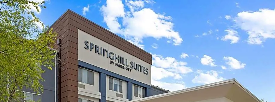 SpringHill Suites by Marriott Minneapolis-St. Paul Airport/Eagan