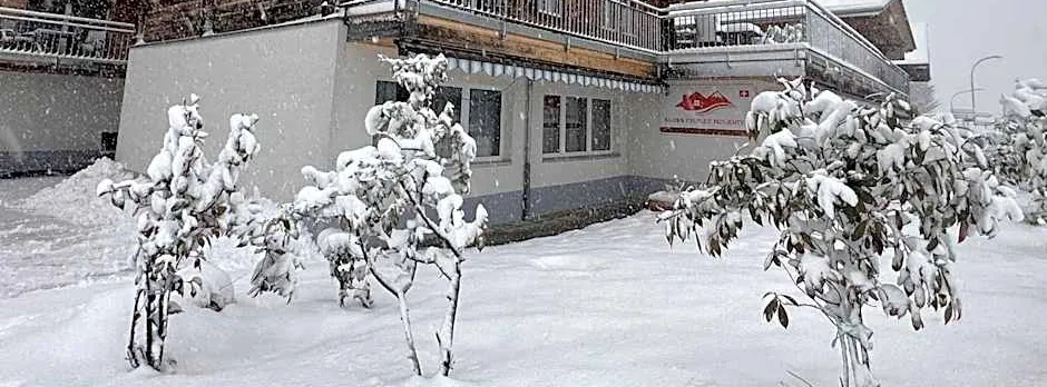 Swiss Chalet Holidays Ringgenberg