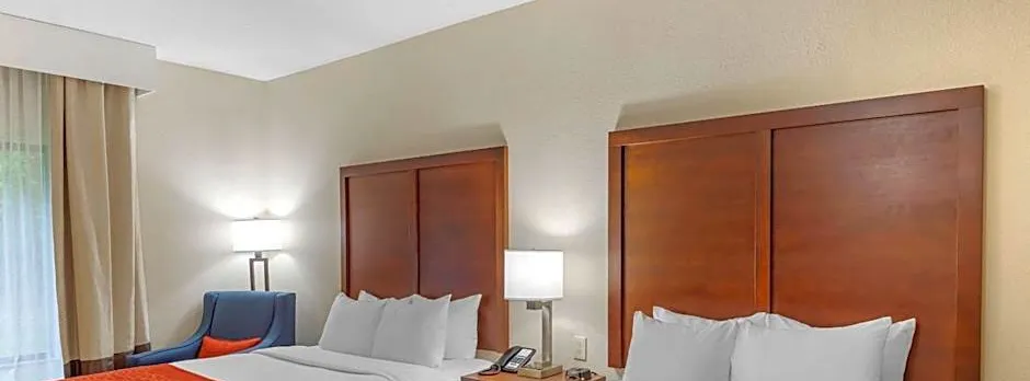 Comfort Inn & Suites Canton Riverstone Area