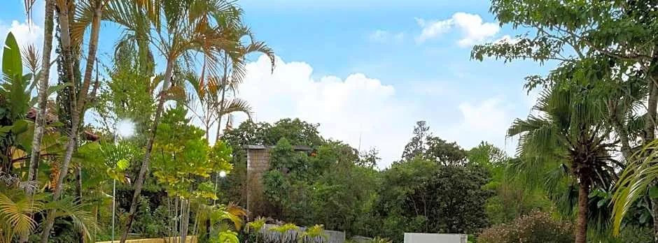 Piscina, jardim, área gourmet e vista arborizada