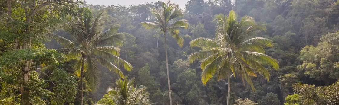 Ayung Resort Ubud