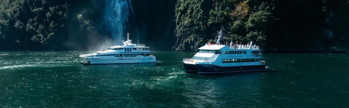 Milford Sound cruise experience