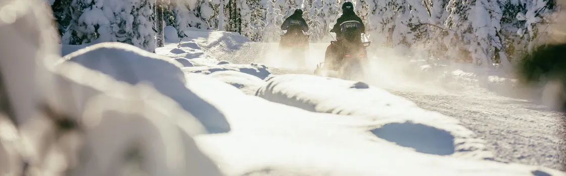 3-hour snowmobile adventure in Levi