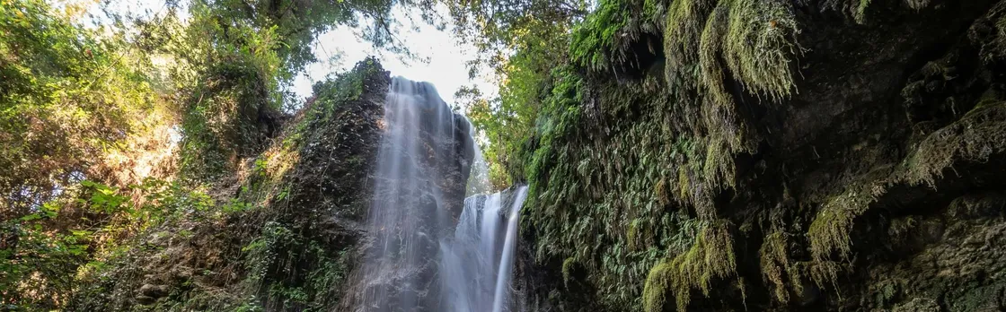 Legends of Lycia Tour with Tlos, Patara and local lunch